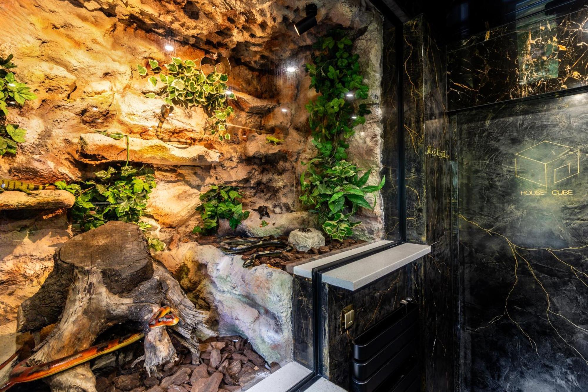 Housecube, Bar , Prywatne Kino, Bilard , Luxus Villa Wrocław Exteriör bild